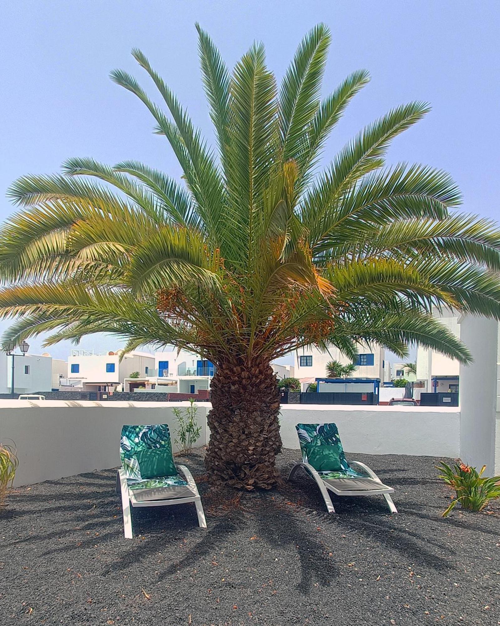 Lovely Casa Felicidad, Swimming Pool, Wifi X Private Garden Playa Blanca  Exteriör bild